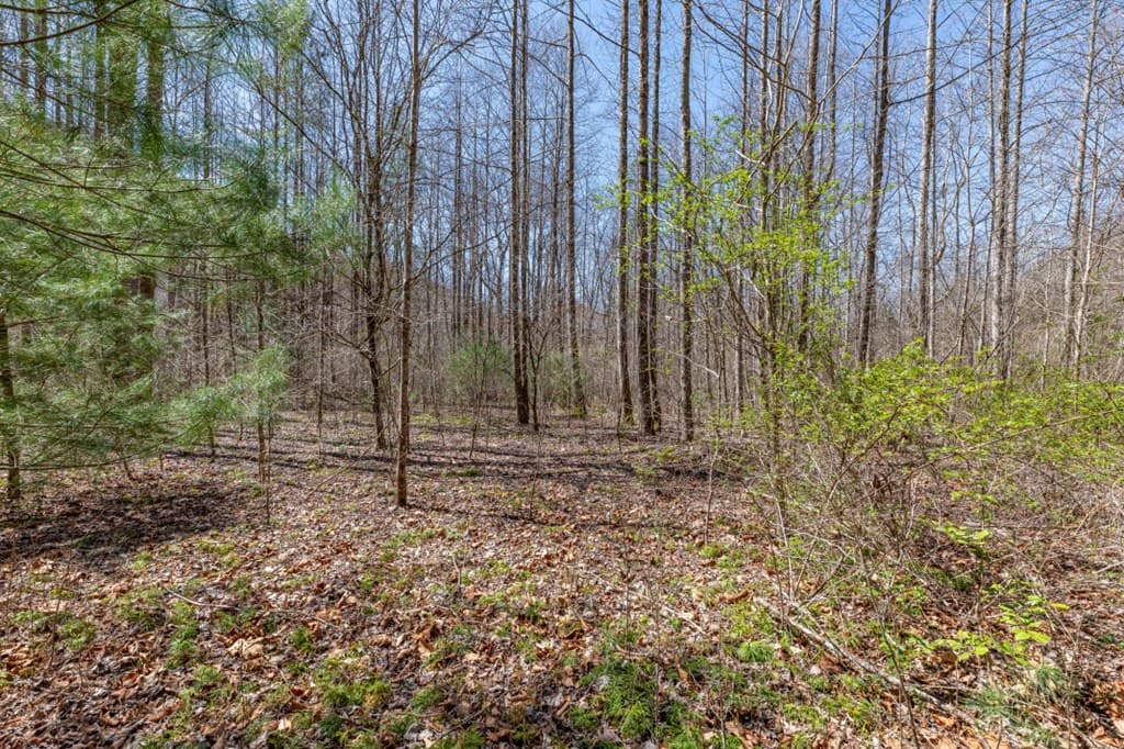 Lots 12+ Tusquittee Crossing, Hayesville NC 28904 - Photo