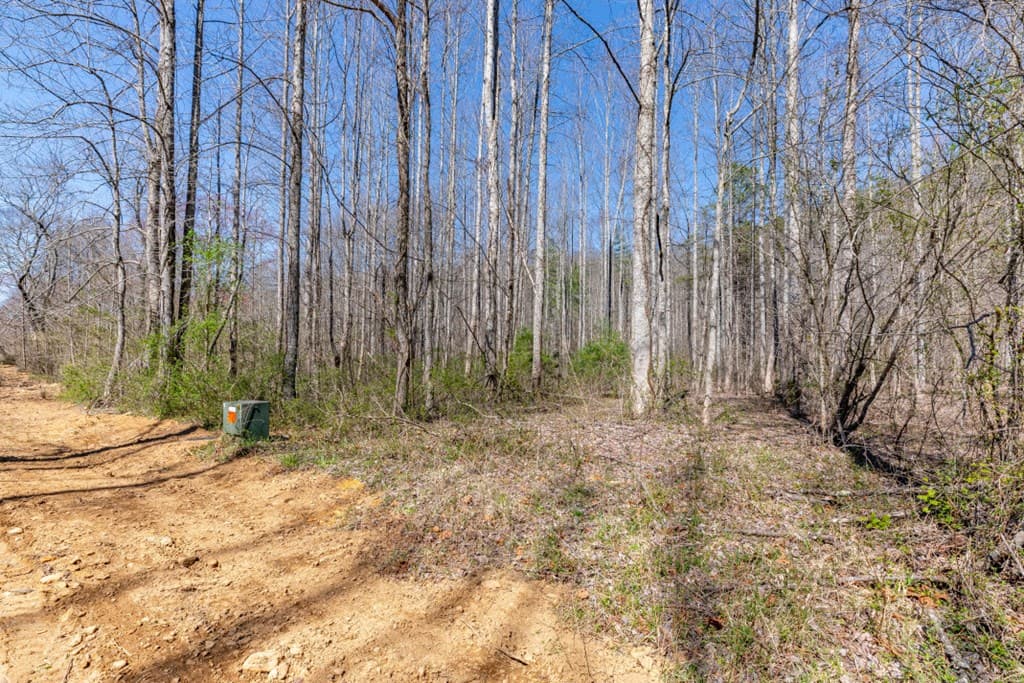 Lots 12+ Tusquittee Crossing, Hayesville NC 28904 - Photo
