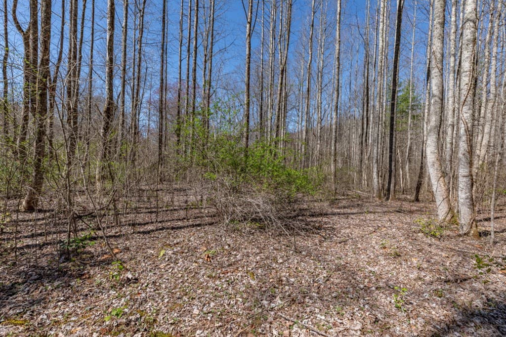 Lots 12+ Tusquittee Crossing, Hayesville NC 28904 - Photo