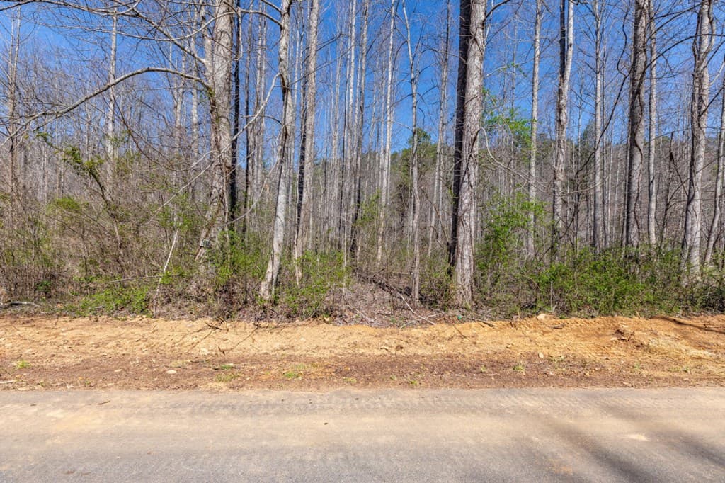 Lots 12+ Tusquittee Crossing, Hayesville NC 28904 - Photo
