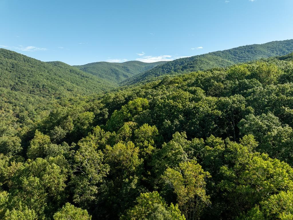Lot 18 Wilderness Way, Ellijay GA 30536 - Photo