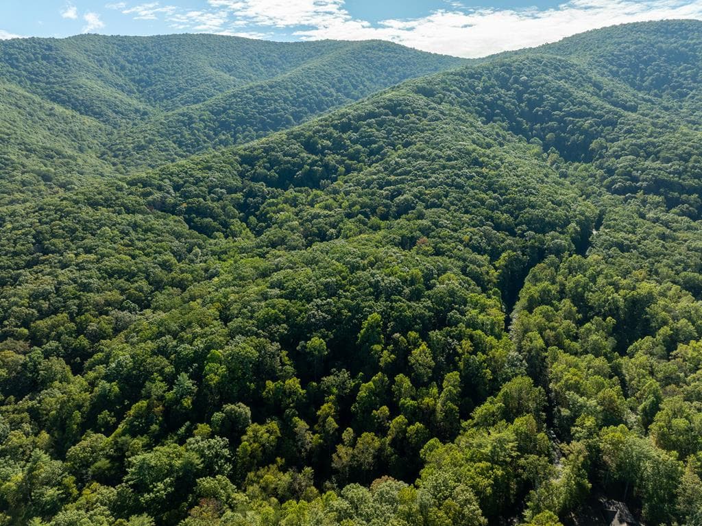 Lot 18 Wilderness Way, Ellijay GA 30536 - Photo