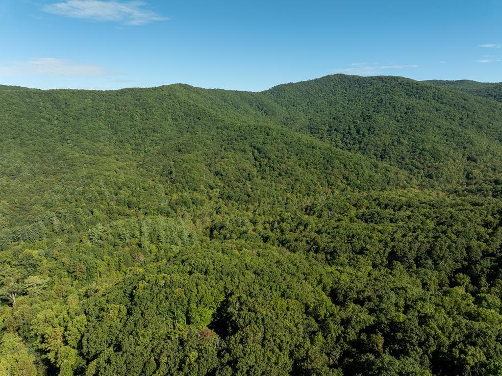 Lot 18 Wilderness Way, Ellijay GA 30536 - Primary photo