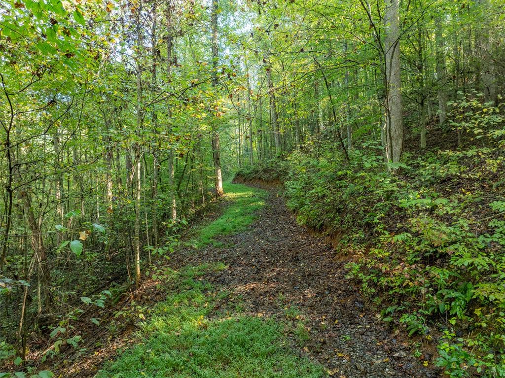 Lot 18 Wilderness Way, Ellijay GA 30536 - Photo