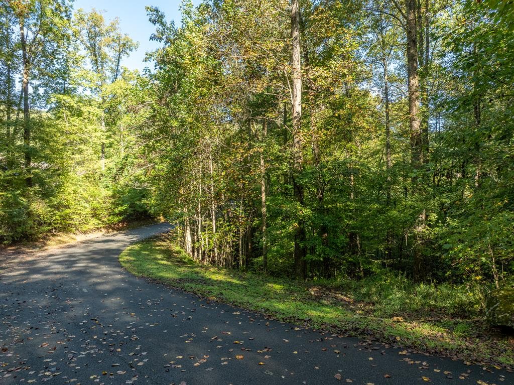 Lot 18 Wilderness Way, Ellijay GA 30536 - Photo