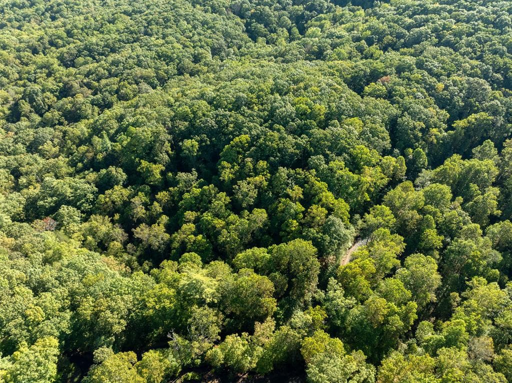 Lot 18 Wilderness Way, Ellijay GA 30536 - Photo