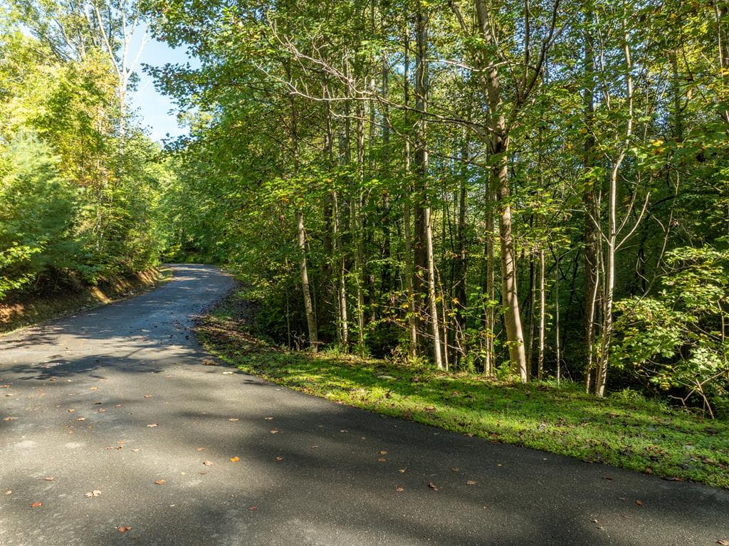 Lot 18 Wilderness Way, Ellijay GA 30536 - Photo
