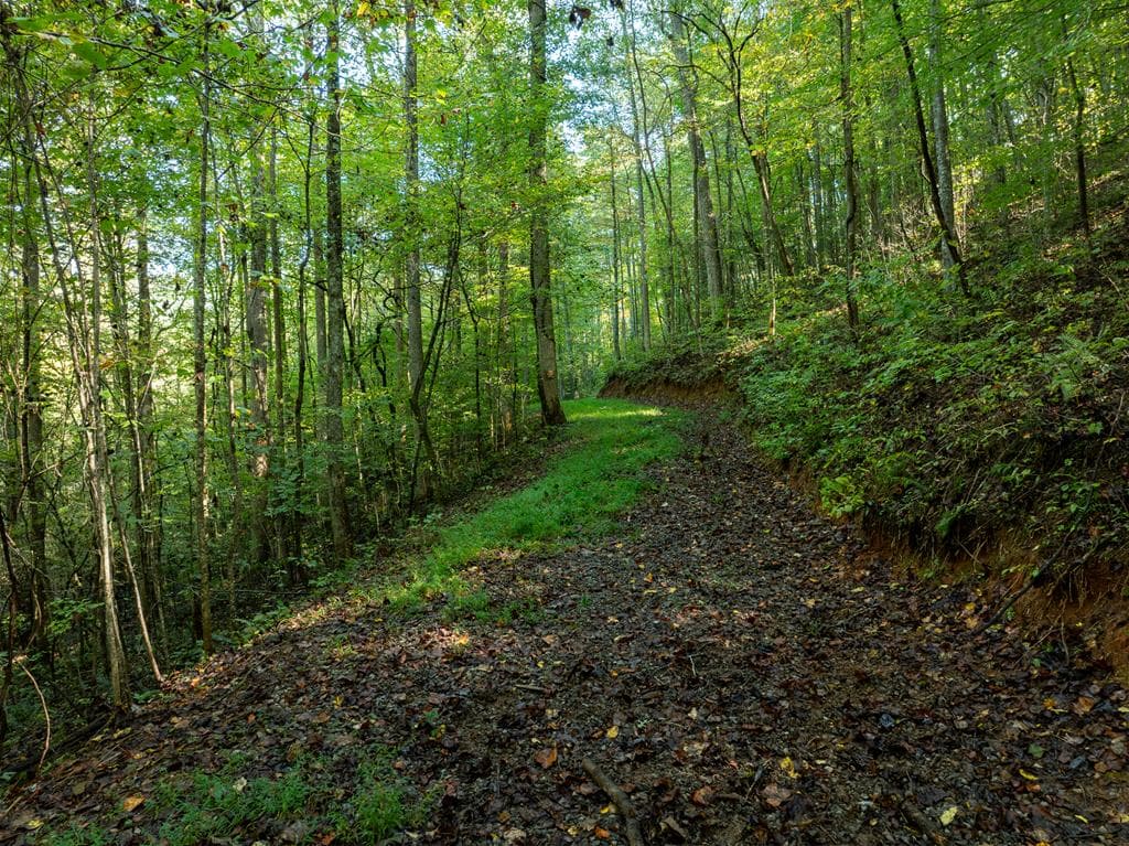 Lot 18 Wilderness Way, Ellijay GA 30536 - Photo