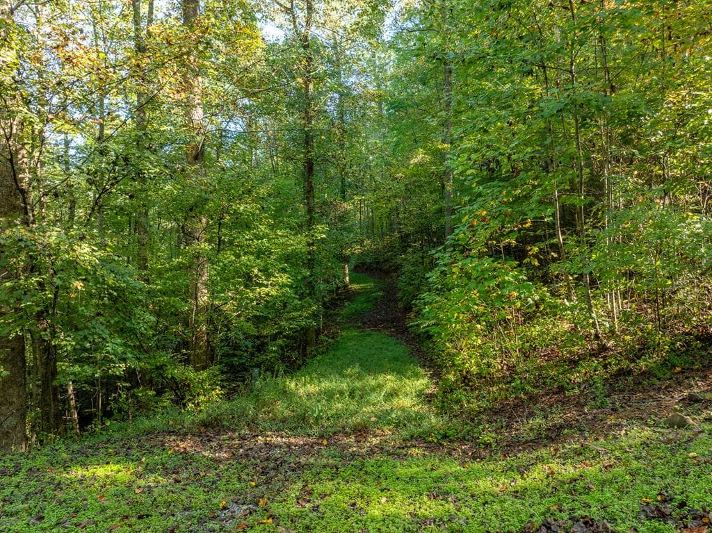 Lot 18 Wilderness Way, Ellijay GA 30536 - Photo