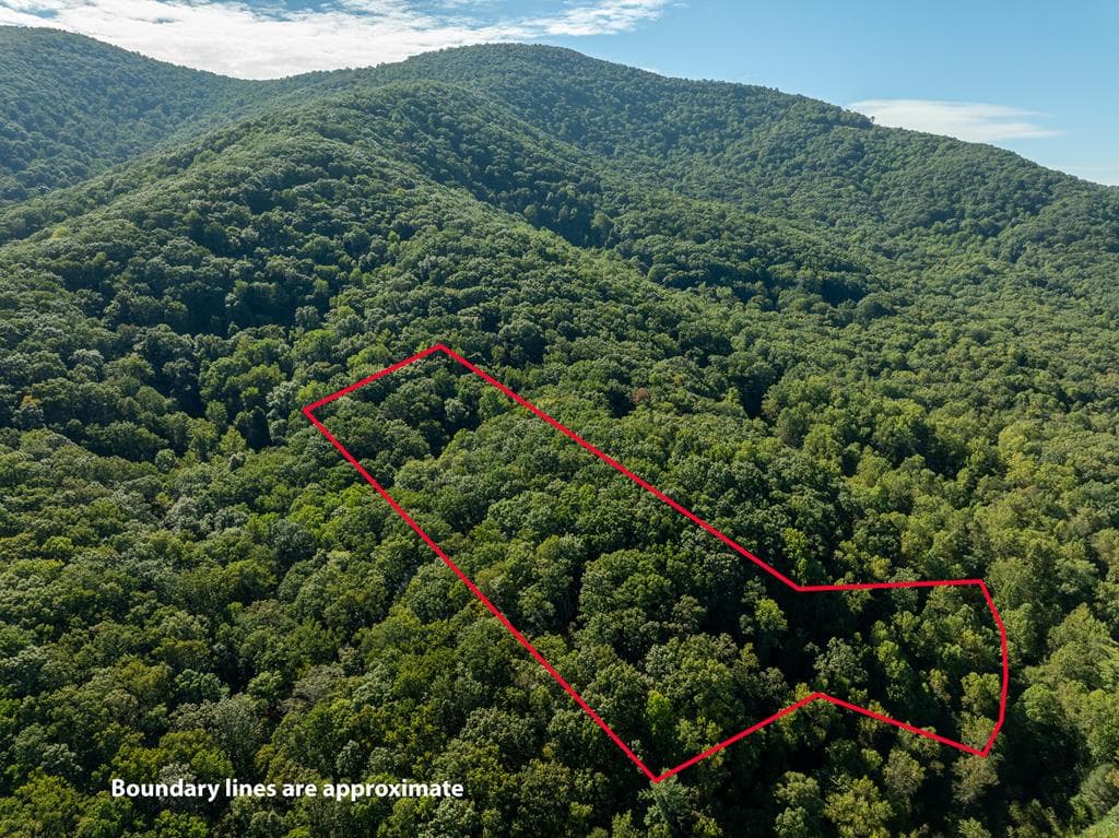 Lot 18 Wilderness Way, Ellijay GA 30536 - Photo