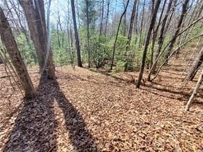 0 Trails End Summit, Ellijay GA 30540 - Photo