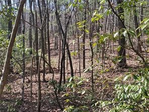 0 Trails End Summit, Ellijay GA 30540 - Photo