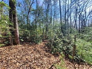 0 Trails End Summit, Ellijay GA 30540 - Photo