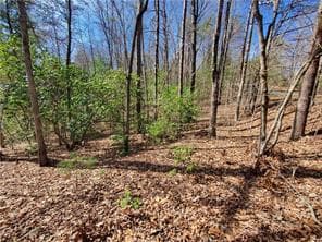 0 Trails End Summit, Ellijay GA 30540 - Photo