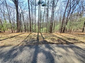 0 Trails End Summit, Ellijay GA 30540 - Primary photo