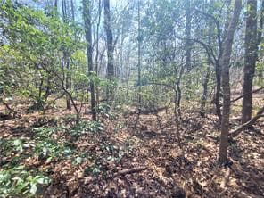 0 Trails End Summit, Ellijay GA 30540 - Photo