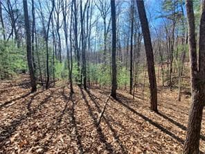 0 Trails End Summit, Ellijay GA 30540 - Photo
