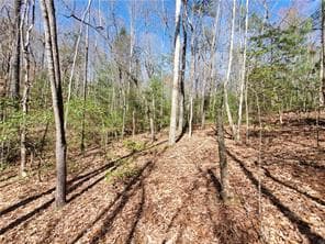 0 Trails End Summit, Ellijay GA 30540 - Photo