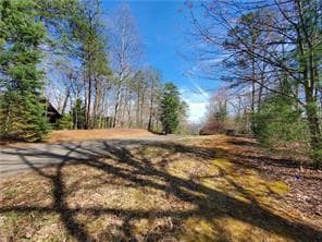 0 Trails End Summit, Ellijay GA 30540 - Photo