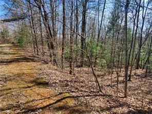 0 Trails End Summit, Ellijay GA 30540 - Photo