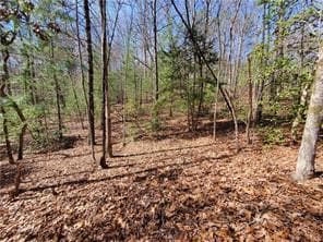 0 Trails End Summit, Ellijay GA 30540 - Photo