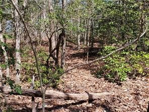 0 Trails End Summit, Ellijay GA 30540 - Photo