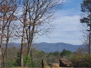 0 Trails End Summit, Ellijay GA 30540 - Photo