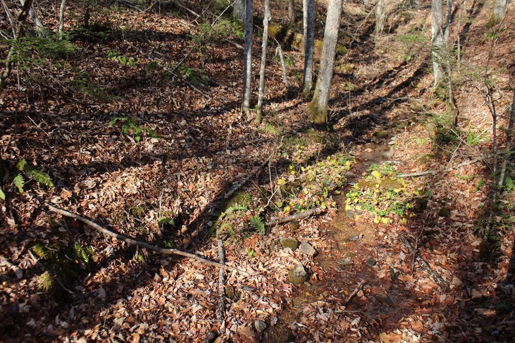 Tract B Highland Cove, Hayesville NC 28904 - Photo