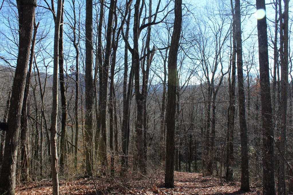 Tract B Highland Cove, Hayesville NC 28904 - Photo