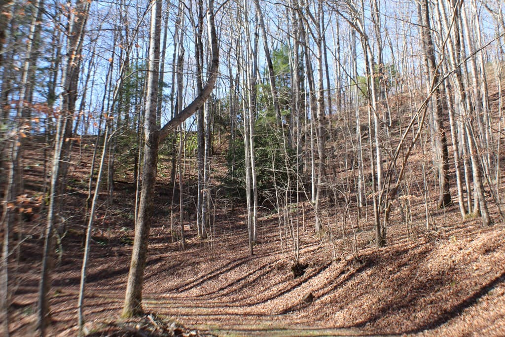Tract B Highland Cove, Hayesville NC 28904 - Photo