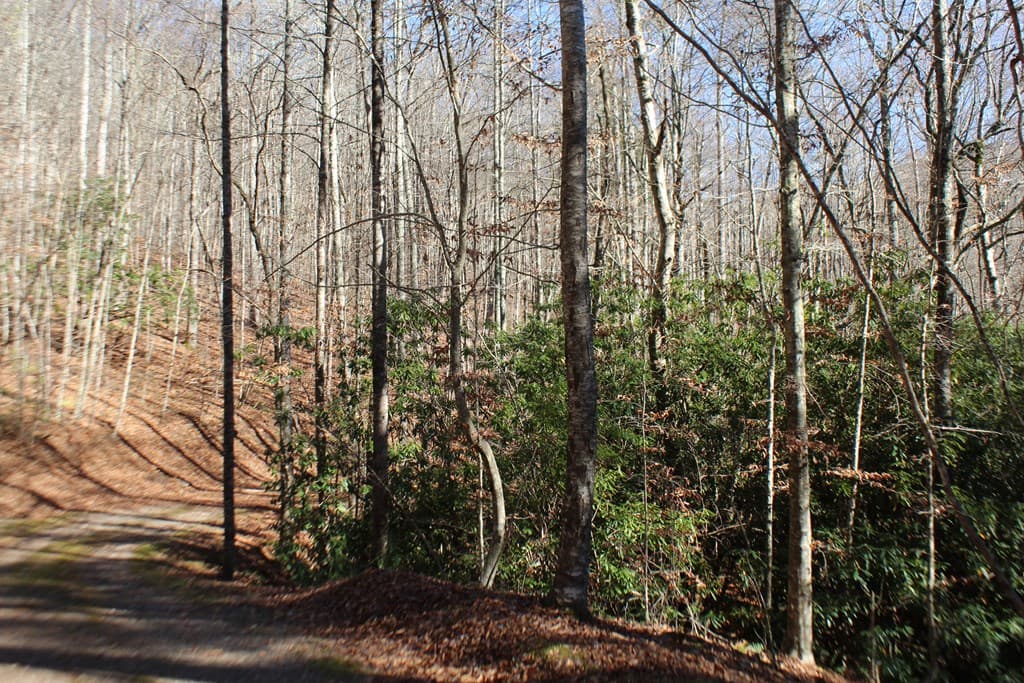 Tract B Highland Cove, Hayesville NC 28904 - Photo