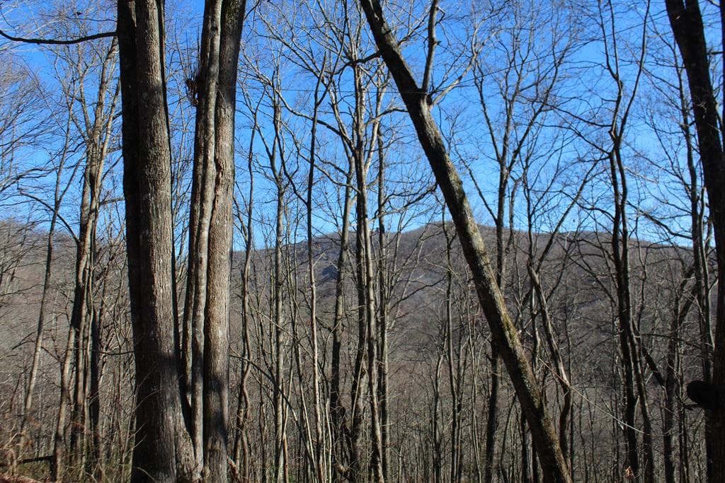 Tract B Highland Cove, Hayesville NC 28904 - Photo