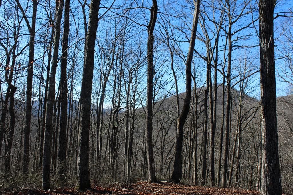 Tract B Highland Cove, Hayesville NC 28904 - Photo