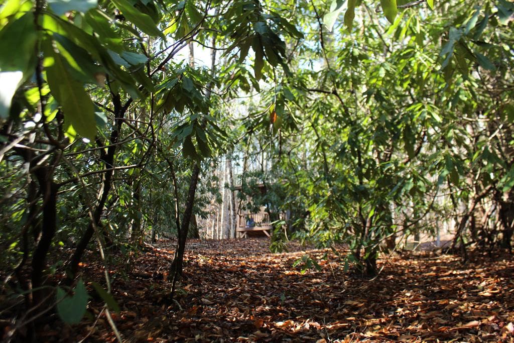 Tract B Highland Cove, Hayesville NC 28904 - Photo