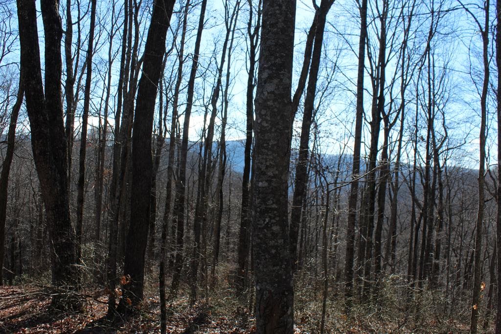 Tract B Highland Cove, Hayesville NC 28904 - Photo