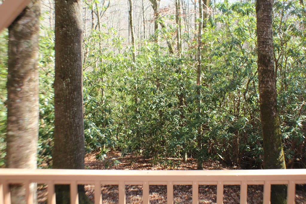 Tract B Highland Cove, Hayesville NC 28904 - Photo