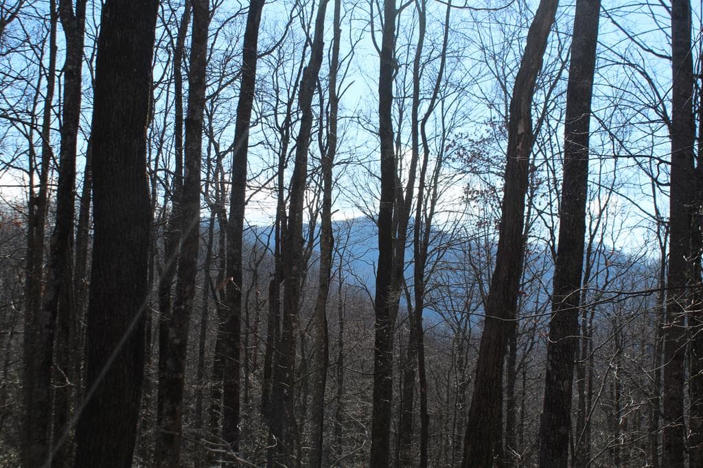 Tract B Highland Cove, Hayesville NC 28904 - Photo