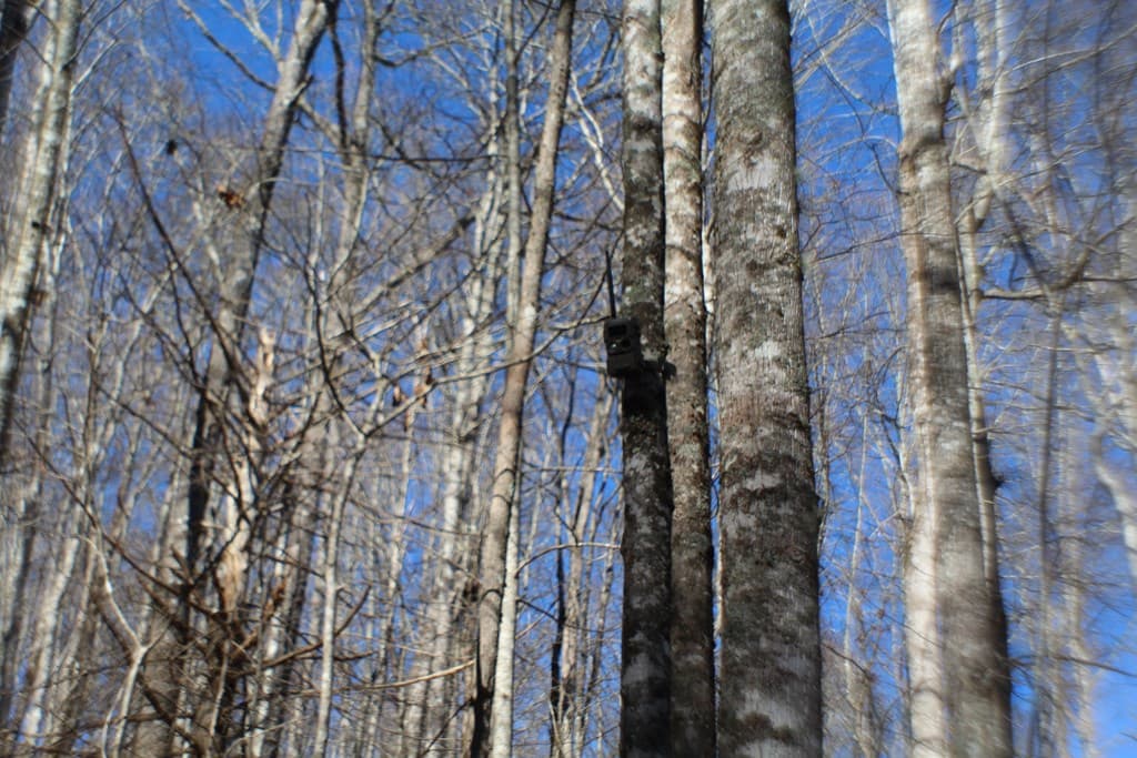 Tract B Highland Cove, Hayesville NC 28904 - Photo