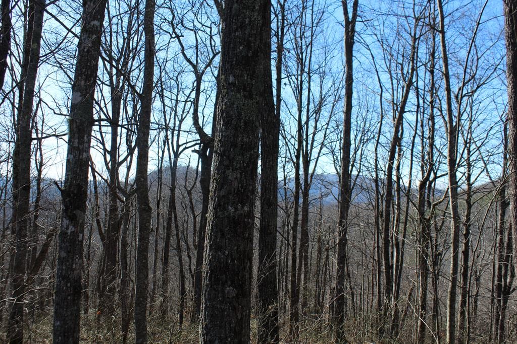 Tract B Highland Cove, Hayesville NC 28904 - Photo