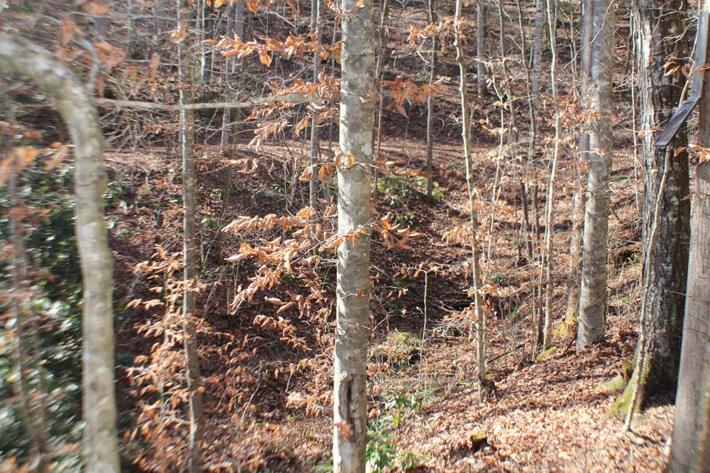 Tract B Highland Cove, Hayesville NC 28904 - Photo
