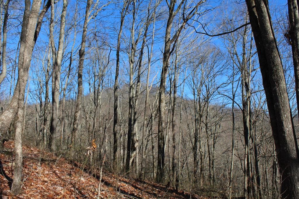 Tract B Highland Cove, Hayesville NC 28904 - Photo