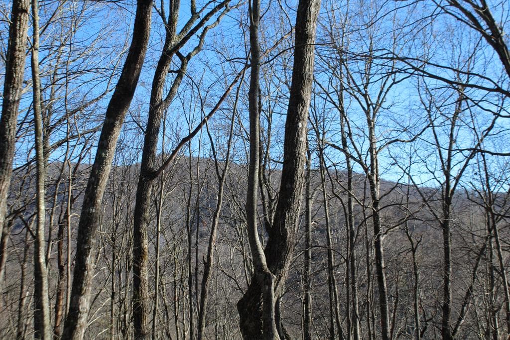 Tract B Highland Cove, Hayesville NC 28904 - Photo