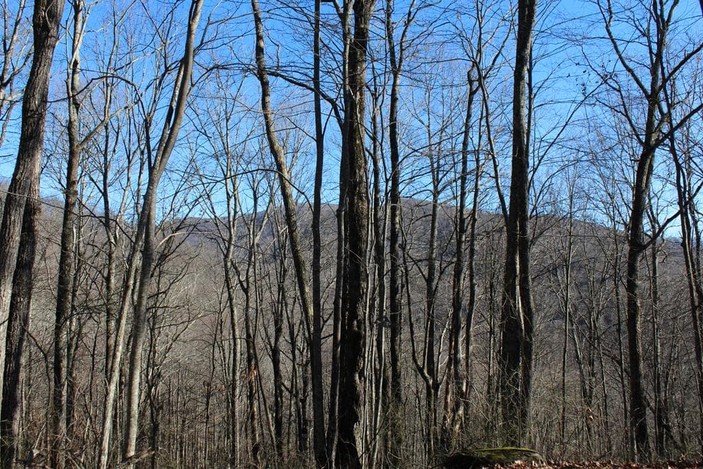 Tract B Highland Cove, Hayesville NC 28904 - Photo