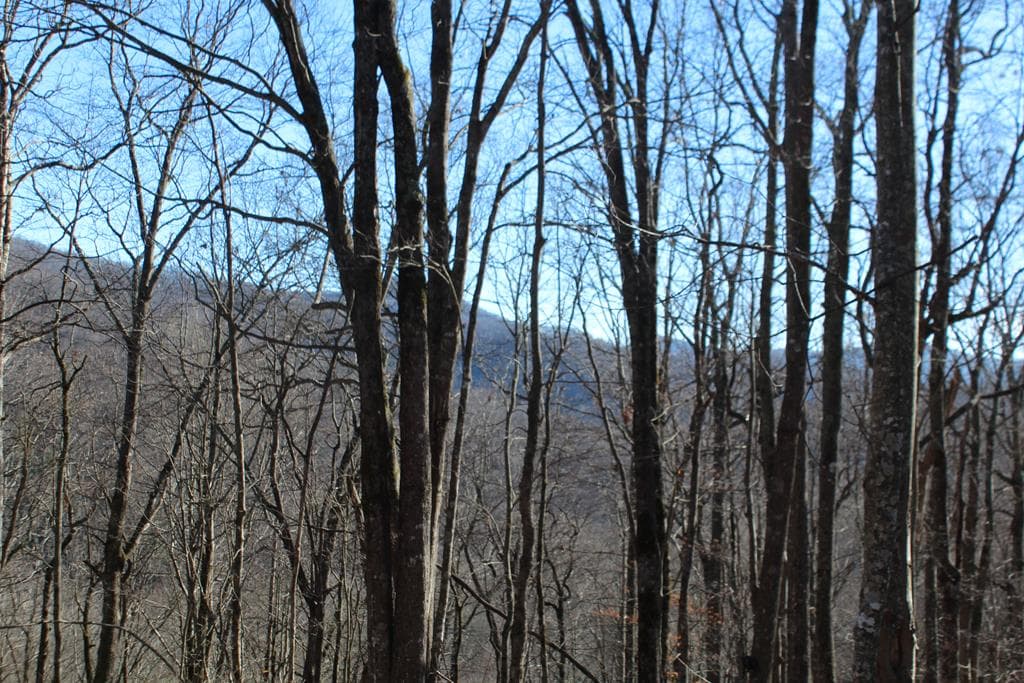 Tract B Highland Cove, Hayesville NC 28904 - Photo
