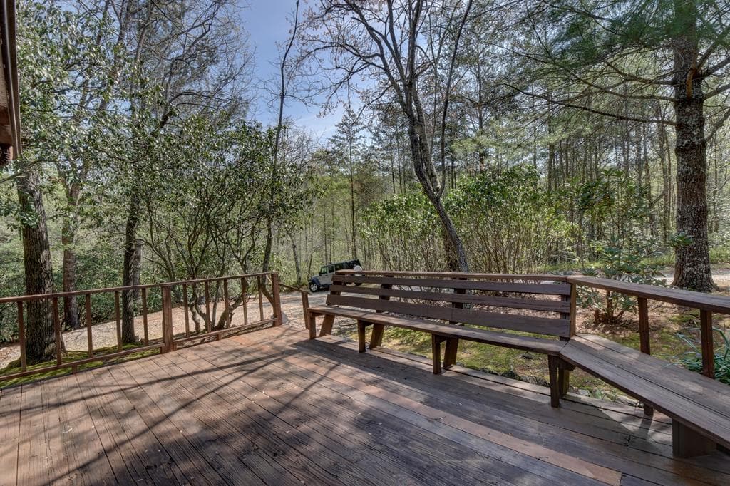 169 Wildhorse Cove Circle, Cleveland GA 30528 - Photo