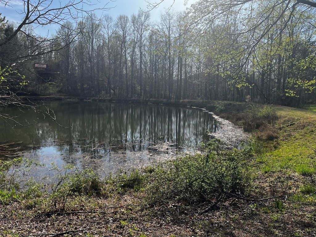 169 Wildhorse Cove Circle, Cleveland GA 30528 - Photo