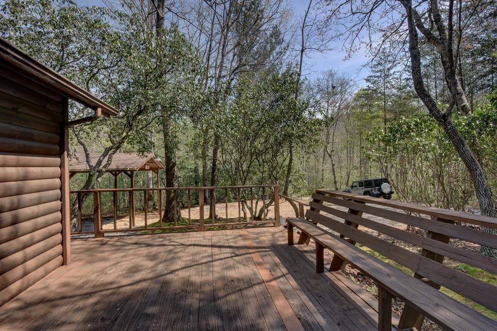 169 Wildhorse Cove Circle, Cleveland GA 30528 - Photo