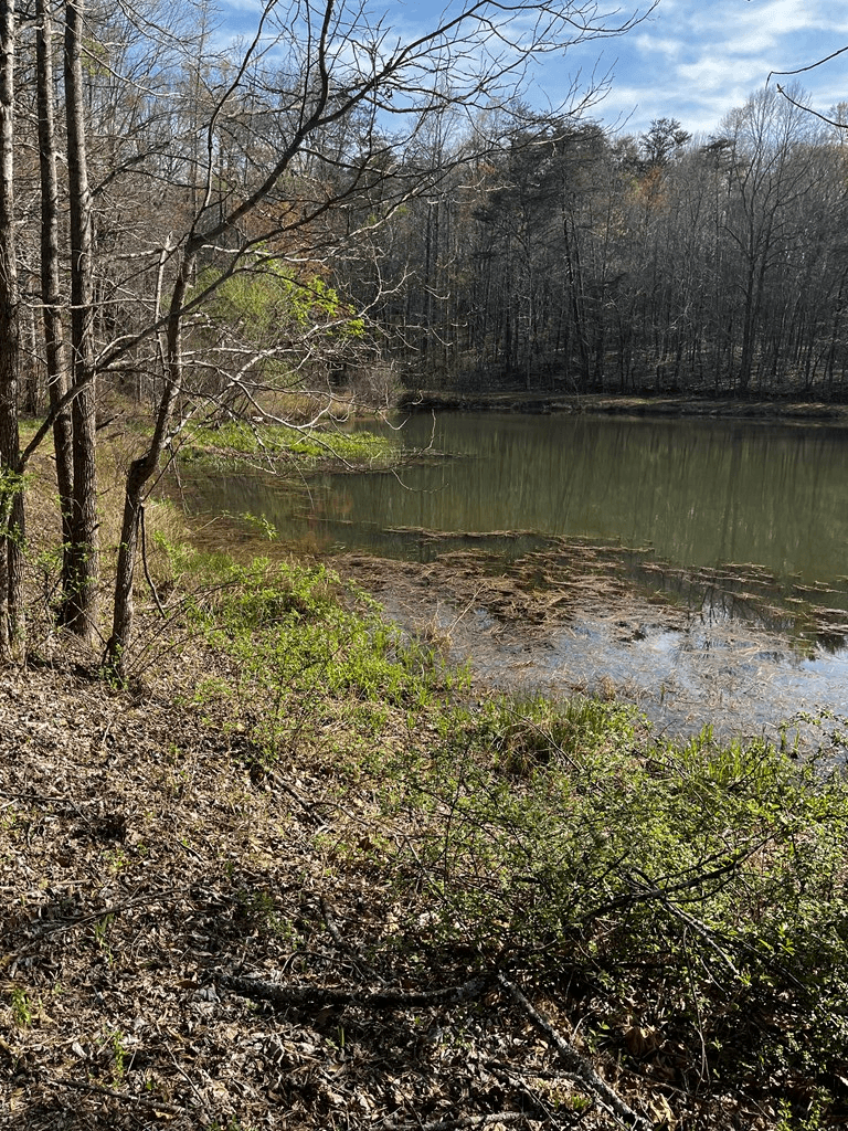 169 Wildhorse Cove Circle, Cleveland GA 30528 - Photo
