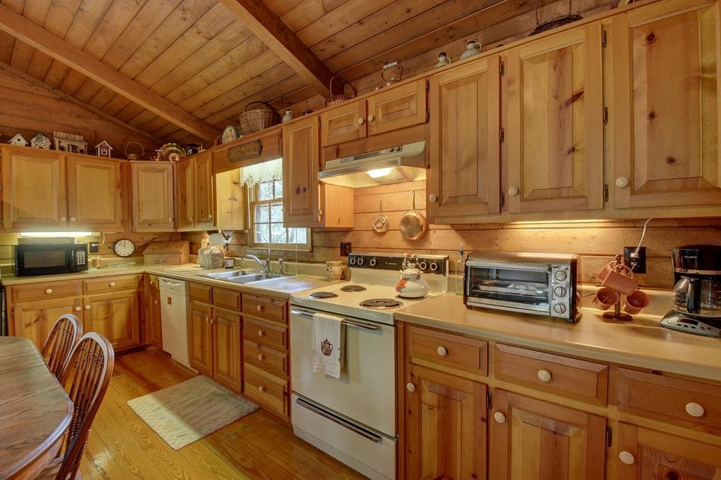 169 Wildhorse Cove Circle, Cleveland GA 30528 - Photo