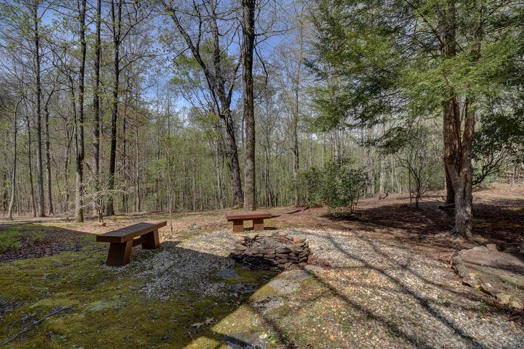 169 Wildhorse Cove Circle, Cleveland GA 30528 - Photo